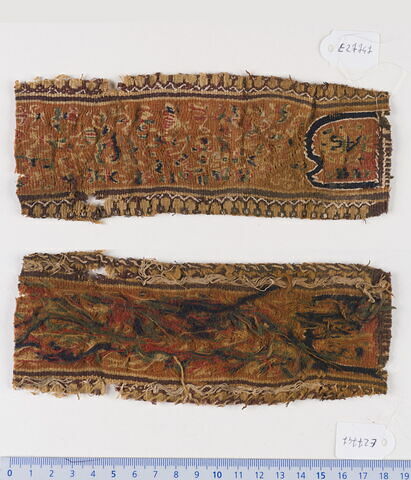 clavus ; fragment, image 1/1