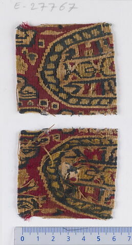 clavus  ; fragment, image 1/1
