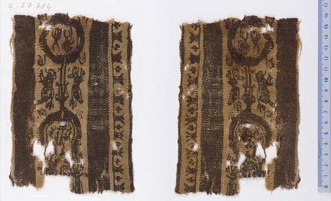 clavus ; fragment, image 1/1