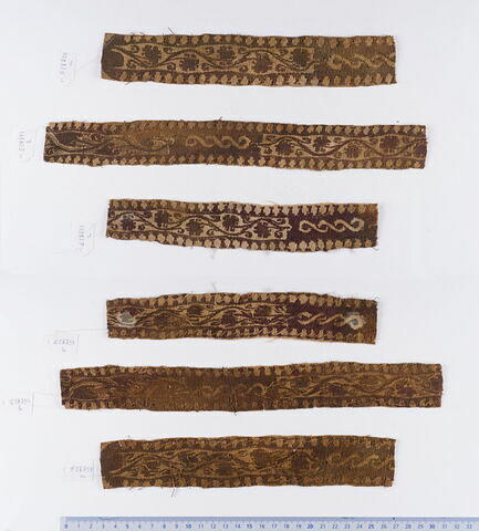 clavus ; fragment, image 1/1