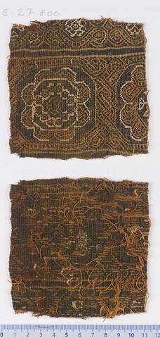 clavus ; fragment, image 1/1