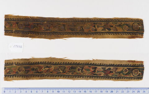 clavus ; fragment, image 1/1