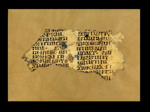 feuillet de codex ; fragment, image 1/2