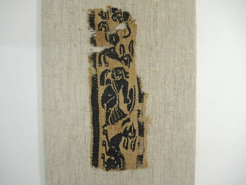 clavus ; fragment, image 2/2