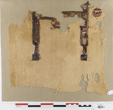 tunique ; clavus ; orbiculus ; fragment, image 1/2