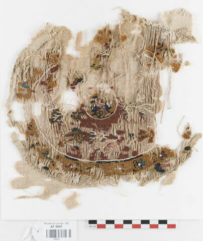 orbiculus ; fragment, image 1/1