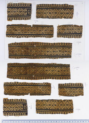 clavus ; fragment, image 1/1