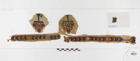clavus ; orbiculus ; deux fragments, image 1/2