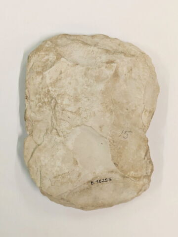 ostracon figuré, image 2/2