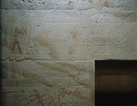 Mastaba d'Akhethétep, image 55/66