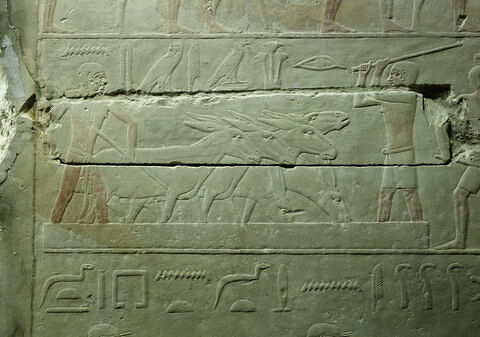 Mastaba d'Akhethétep, image 63/66