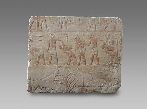 Mastaba d'Akhethétep, image 12/66