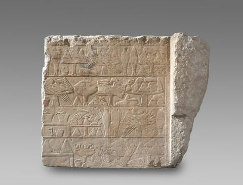 Mastaba d'Akhethétep, image 16/66