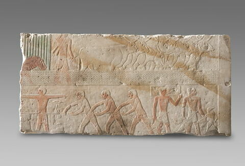 Mastaba d'Akhethétep, image 18/66