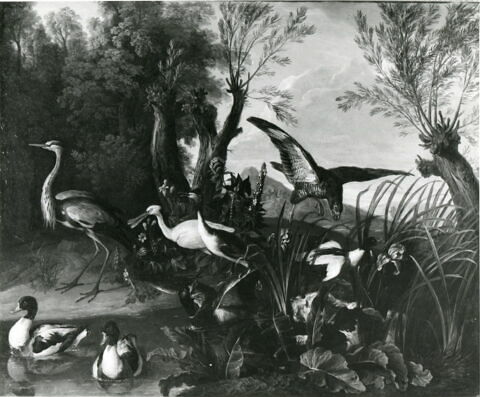 Oiseaux dans un paysage, image 3/3