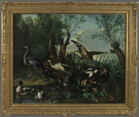 Oiseaux dans un paysage, image 2/3