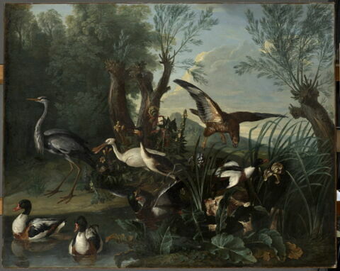 Oiseaux dans un paysage, image 1/3