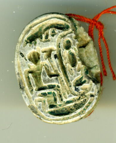 scarabée détaillé, image 1/2