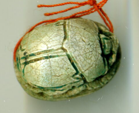 scarabée détaillé, image 2/2