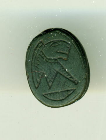 scarabée, image 1/2