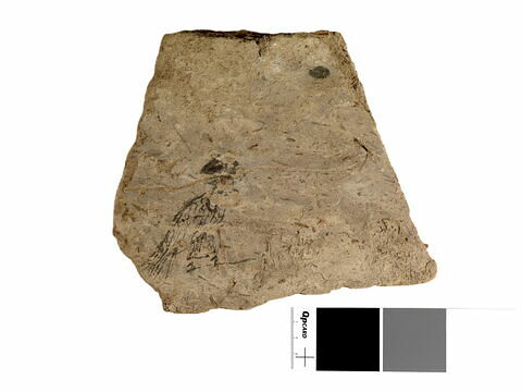 vase, image 12/14