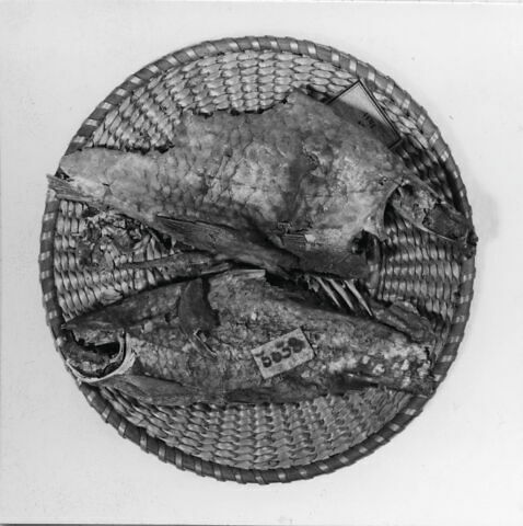 poisson