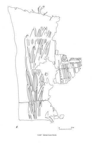 linceul peint, image 2/2