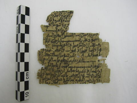 papyrus, image 1/1