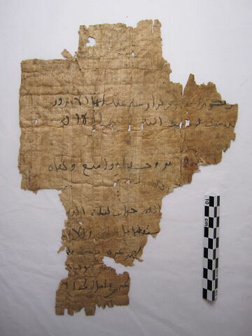 papyrus ; fragment, image 1/1