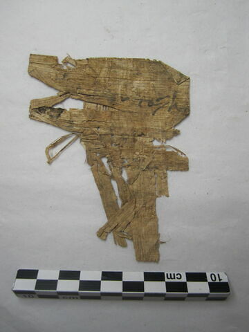 papyrus ; fragment, image 1/1
