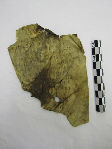 feuillet de codex ; fragment