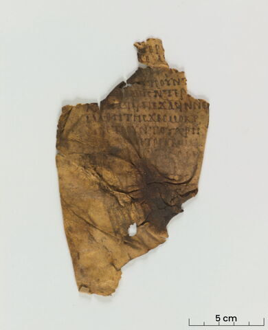 feuillet de codex ; fragment, image 3/4