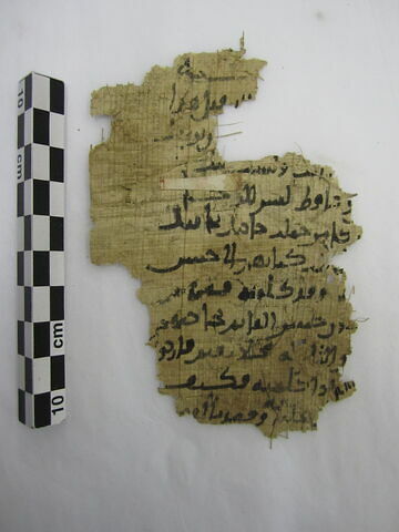 papyrus, image 1/1