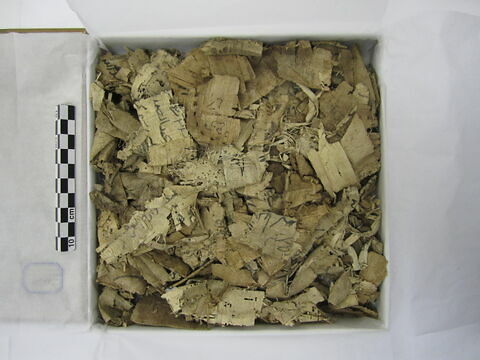 papyrus ; fragments, image 1/1