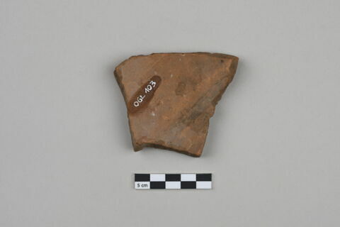 ostracon, image 2/4