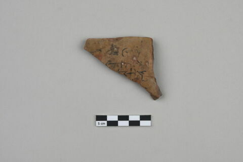 ostracon, image 1/4