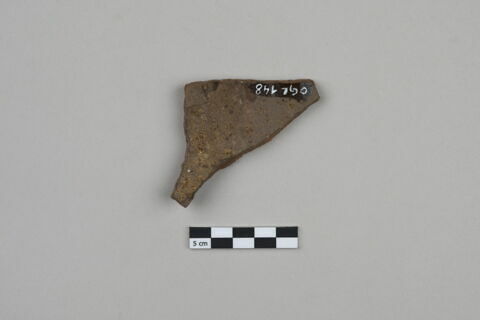 ostracon, image 2/4