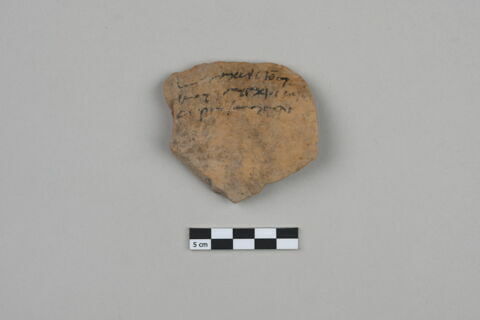 ostracon, image 1/4