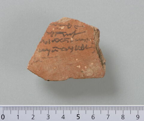 ostracon, image 1/2