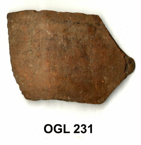 ostracon, image 1/1