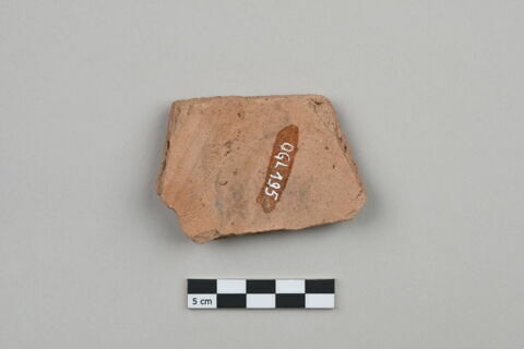ostracon, image 2/4