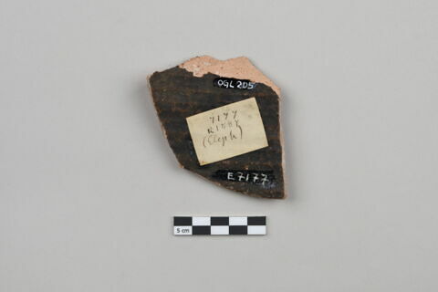 ostracon, image 2/3