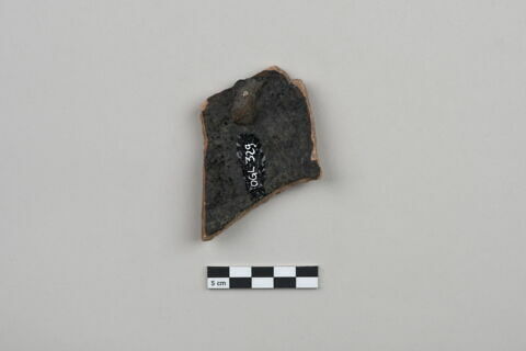 ostracon, image 2/4