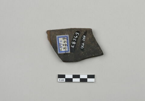 ostracon, image 2/3