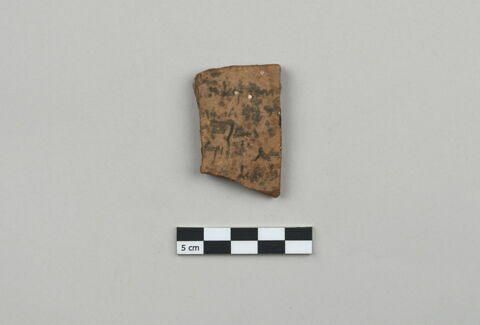ostracon, image 1/3