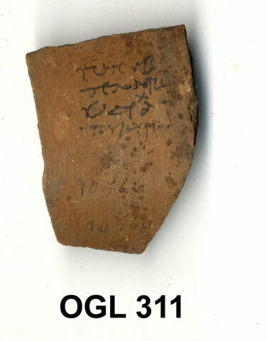 ostracon, image 1/1