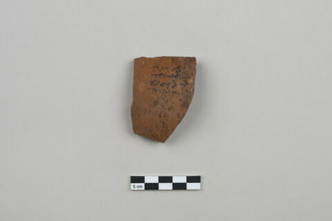 ostracon, image 1/3