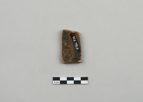 ostracon, image 2/4