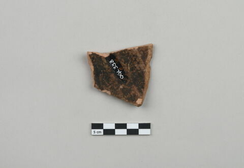 ostracon, image 2/3