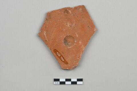 ostracon, image 2/4